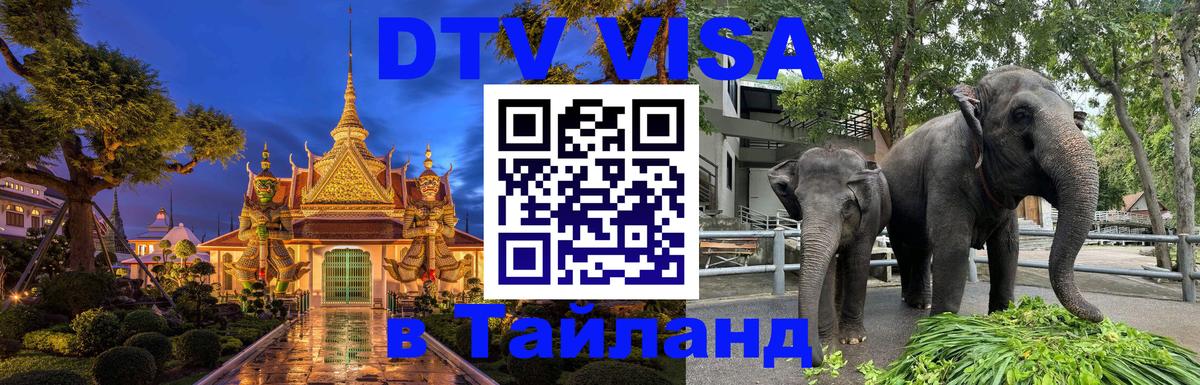 Оформление DTV визы под ключ: стоимость и тарифы, только загранпаспорт - Осло  21.11.2025 